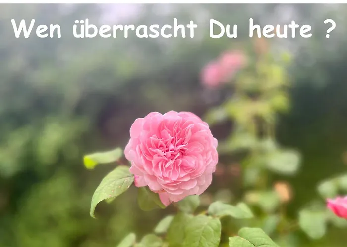 Romantik Pur - Schlafen Unter Dem Sternenhimmel Lüks kamp alanı