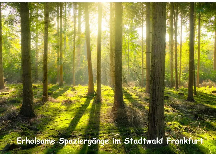 Romantik Pur - Schlafen Unter Dem Sternenhimmel Lüks kamp alanı Frankfurt am Main